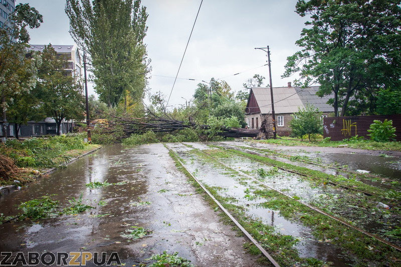 Дерево перекрыло травайные рельсы по ул. Горького (Запорожье)
