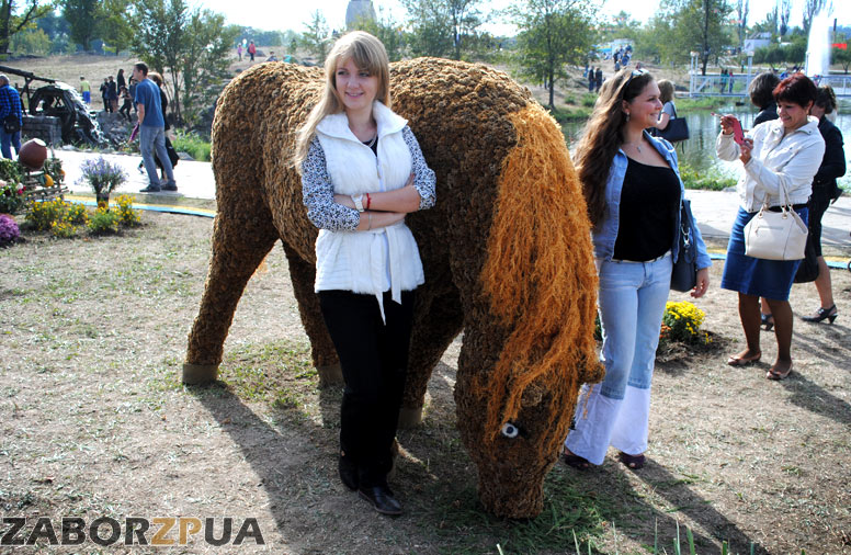 Цветочная лошадь на День города в Запорожье