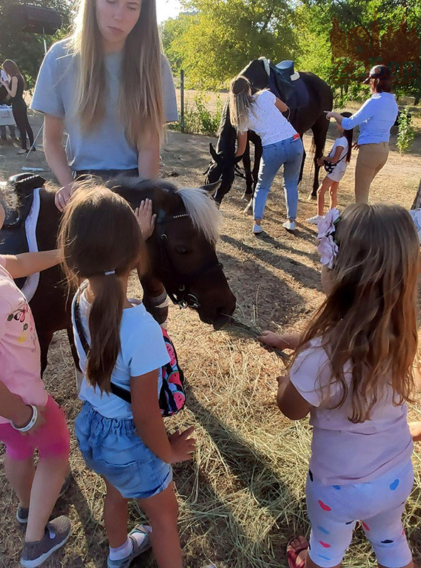 Дети кормят пони на Пикнике на Радуге (Запорожье)