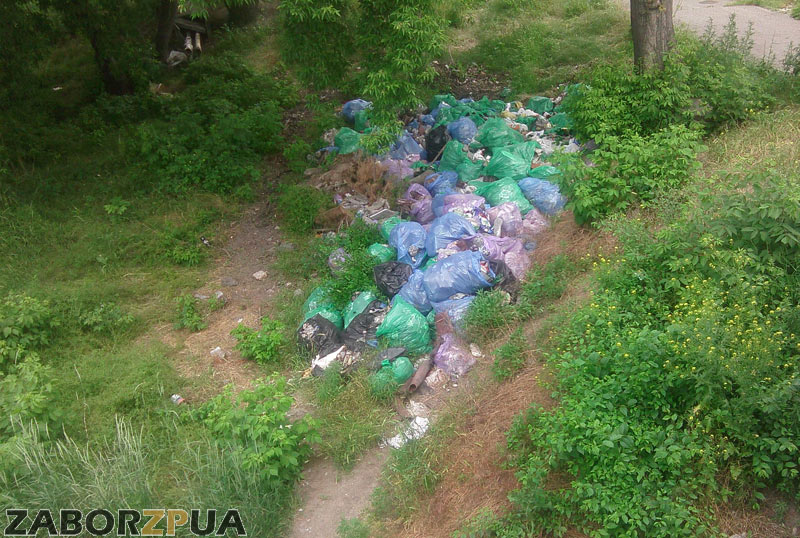 Не вывезенный мусор после суботников в апреле (Запорожье)