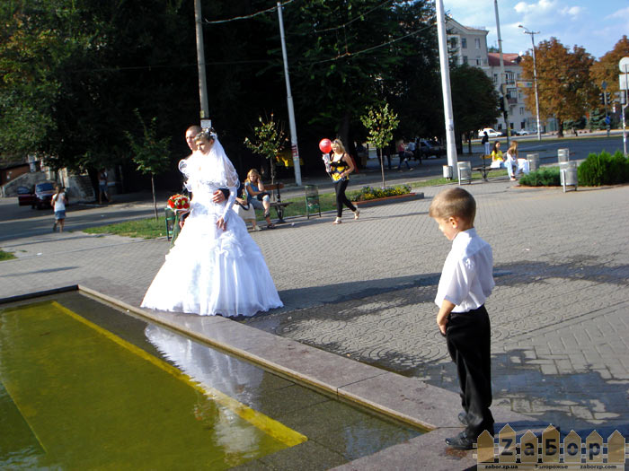 Сезон свадеб в Запорожье