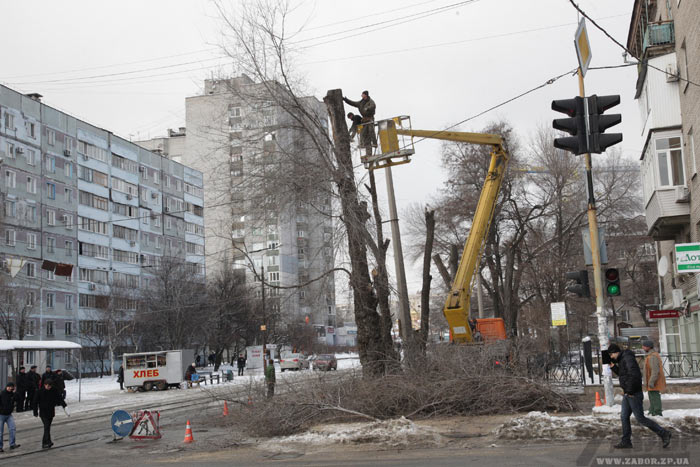Коммунальщики обрезают деевья по ул.Грязнова в Запорожье