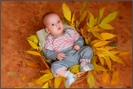 Осенние мотивы. Осенние мотивы.