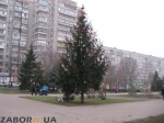 Центральная елка Шевченковского района (Запорожье)