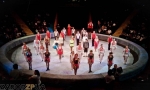 Цирковое представление Парад Алле в Запорожье