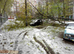 Деревья упали на машины на Ладожской (Запорожье)