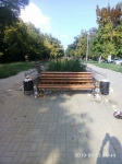 В Запорожье Аллея роз в мусоре В Запорожье Аллея роз в мусоре