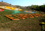 надпись ЕВРО-2012, выложенная цветами (Запорожье, День города)