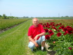 Запорожец на поле цветов в Голландии