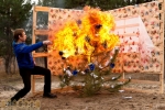 МЧСники провели показательную акцию по сжиганию елки в Запорожье