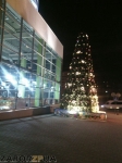 Первая новогодняя елка в Запорожье