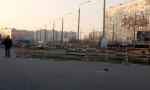 Елочные базары Елочные базары
