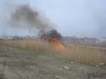 Весенние пожары - сжигают камыши в Запорожье