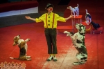 Цирк "Морские забавы" в Запорожье